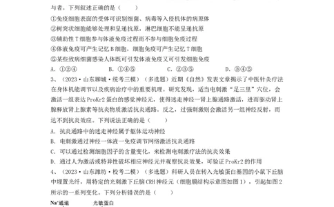 专题26免疫调节（精练）（原卷版）_2024年新高考资料_1.2024一轮复习_备战2024年高考生物一轮复习串讲精练（新高考专用）