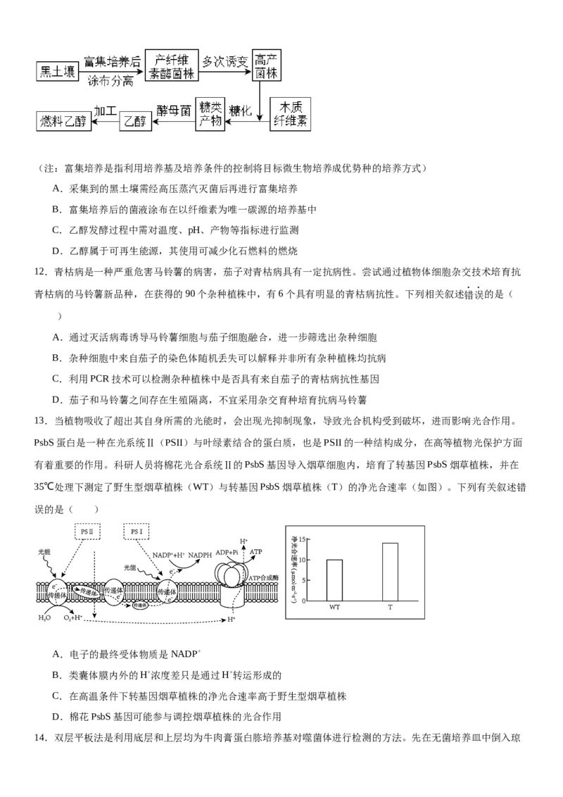 专题五生物技术与工程（选择题特训）-2024年高考生物二轮复习专题训练（全国通用）（解析版）_2024年新高考资料_2.2024二轮复习_2024年高考生物二轮复习专题训练（全国通用）