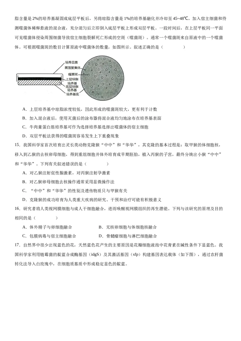 专题五生物技术与工程（选择题特训）-2024年高考生物二轮复习专题训练（全国通用）（解析版）_2024年新高考资料_2.2024二轮复习_2024年高考生物二轮复习专题训练（全国通用）