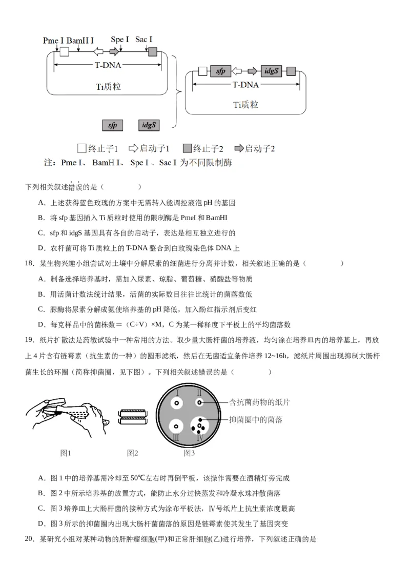 专题五生物技术与工程（选择题特训）-2024年高考生物二轮复习专题训练（全国通用）（解析版）_2024年新高考资料_2.2024二轮复习_2024年高考生物二轮复习专题训练（全国通用）