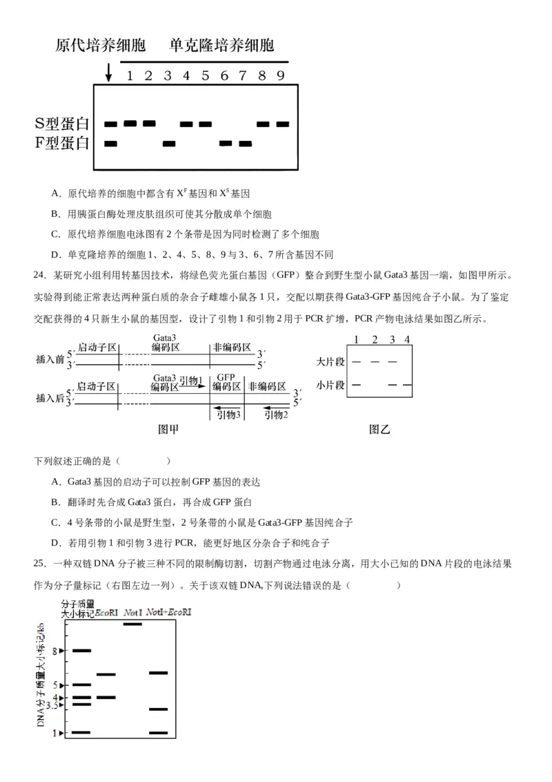 专题五生物技术与工程（选择题特训）-2024年高考生物二轮复习专题训练（全国通用）（解析版）_2024年新高考资料_2.2024二轮复习_2024年高考生物二轮复习专题训练（全国通用）