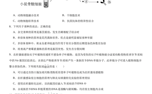专题五生物技术与工程（选择题特训）-2024年高考生物二轮复习专题训练（全国通用）（解析版）_2024年新高考资料_2.2024二轮复习_2024年高考生物二轮复习专题训练（全国通用）