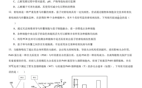 专题五生物技术与工程（选择题特训）-2024年高考生物二轮复习专题训练（全国通用）（解析版）_2024年新高考资料_2.2024二轮复习_2024年高考生物二轮复习专题训练（全国通用）