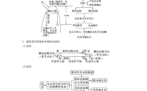 专题27植物生命活动的调节（串讲）（解析版）_2024年新高考资料_1.2024一轮复习_备战2024年高考生物一轮复习串讲精练（新高考专用）