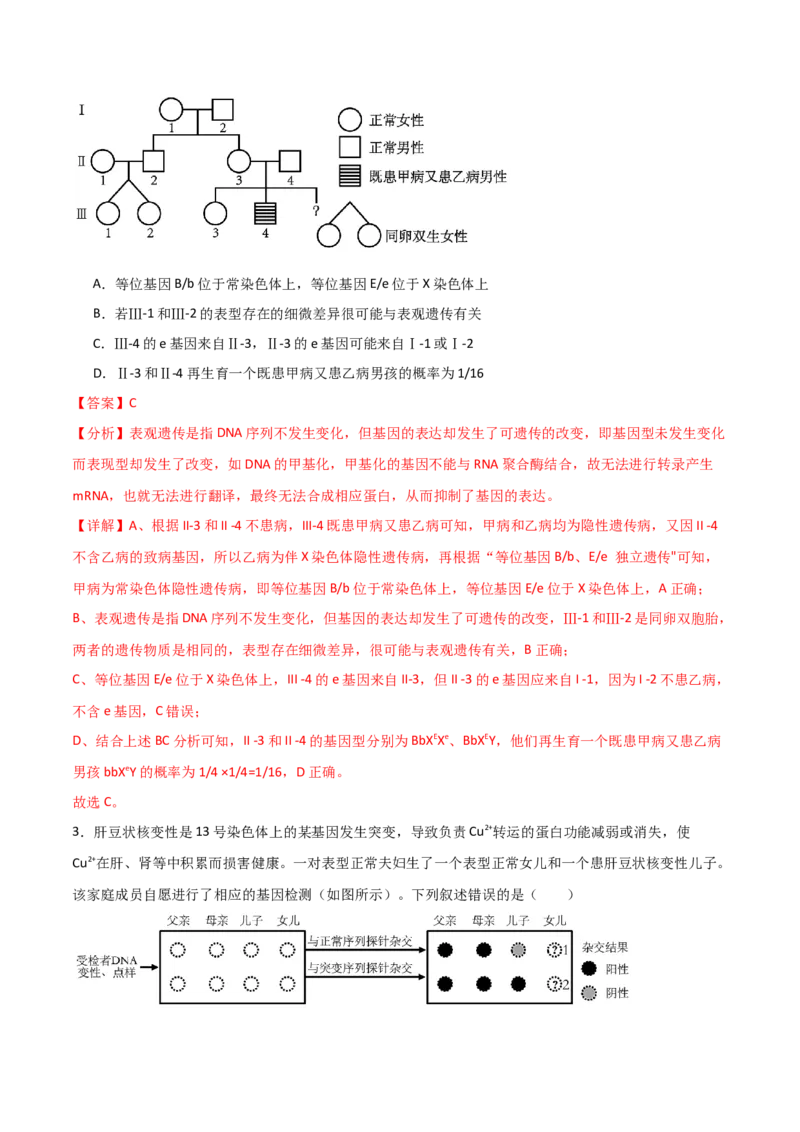 单元检测卷05基因的传递规律（解析版）_2024年新高考资料_1.2024一轮复习_2024年高考生物一轮复习考点通关卷（新高考通用）