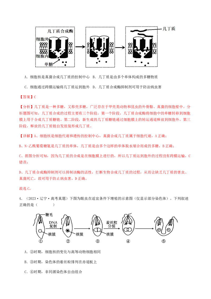 抢分11选择题冲刺篇（教师版）_2024年新高考资料_5.2024三轮冲刺_备战2024年高考生物抢分秘籍（新高考专用）321842314