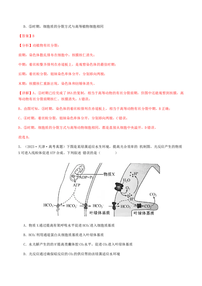 抢分11选择题冲刺篇（教师版）_2024年新高考资料_5.2024三轮冲刺_备战2024年高考生物抢分秘籍（新高考专用）321842314