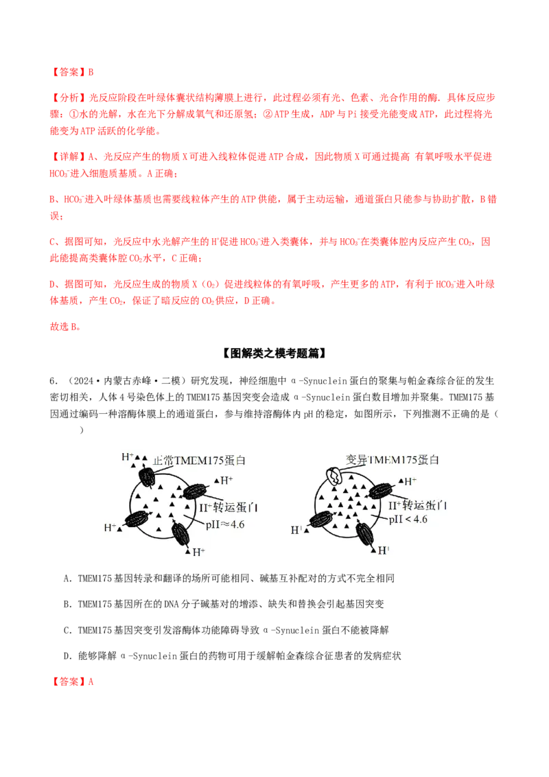 抢分11选择题冲刺篇（教师版）_2024年新高考资料_5.2024三轮冲刺_备战2024年高考生物抢分秘籍（新高考专用）321842314