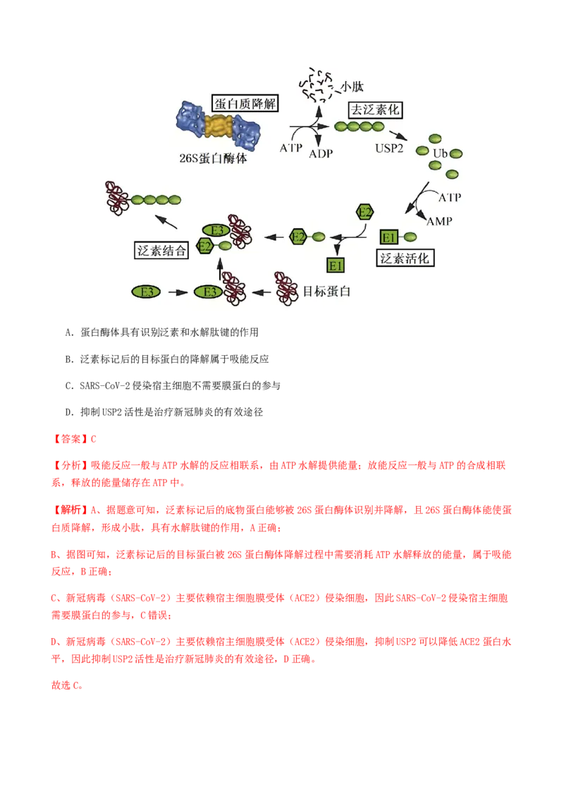 抢分11选择题冲刺篇（教师版）_2024年新高考资料_5.2024三轮冲刺_备战2024年高考生物抢分秘籍（新高考专用）321842314