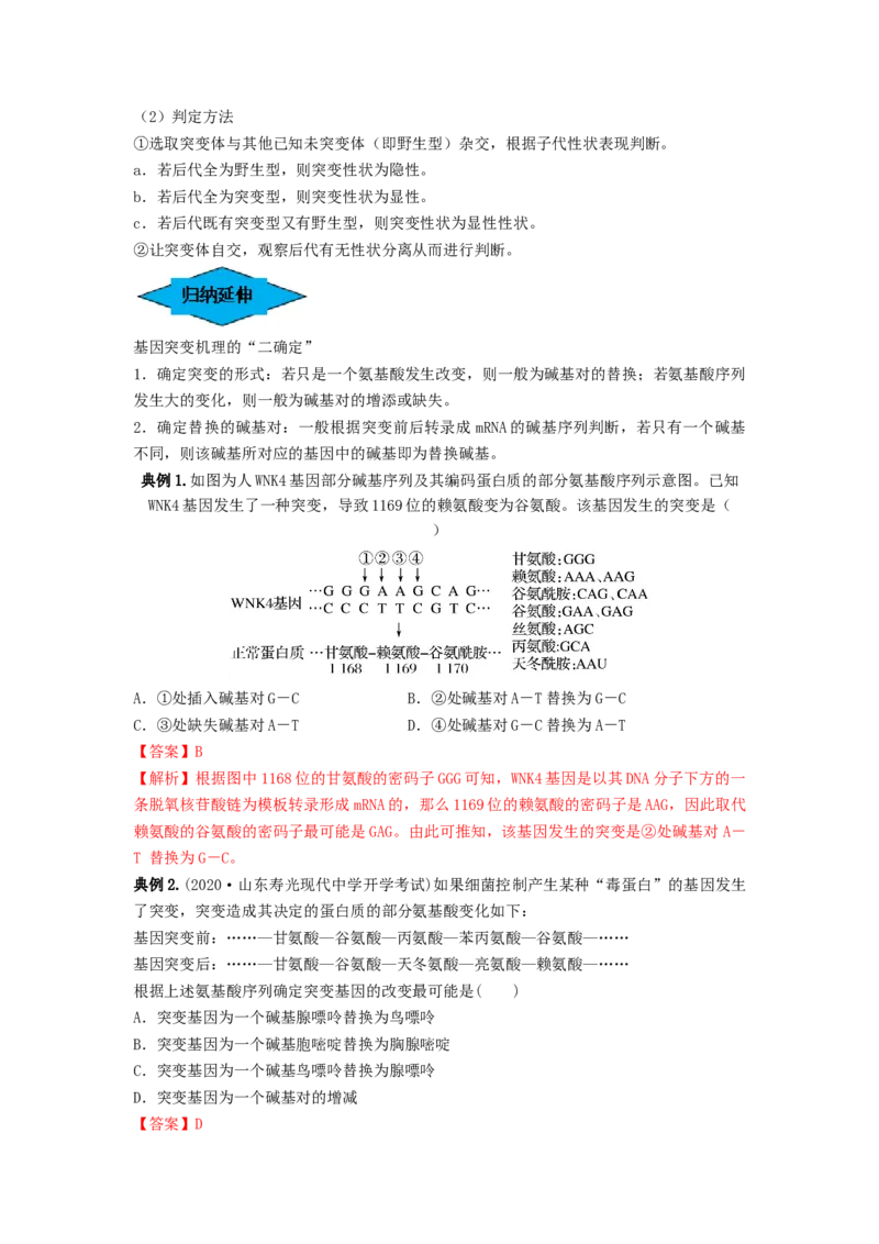 专题20基因突变和基因重组（串讲）（解析版）_2024年新高考资料_1.2024一轮复习_备战2024年高考生物一轮复习串讲精练（新高考专用）