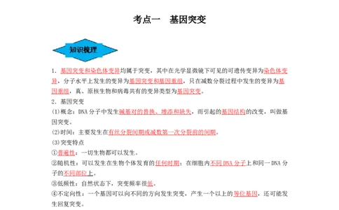 专题20基因突变和基因重组（串讲）（解析版）_2024年新高考资料_1.2024一轮复习_备战2024年高考生物一轮复习串讲精练（新高考专用）