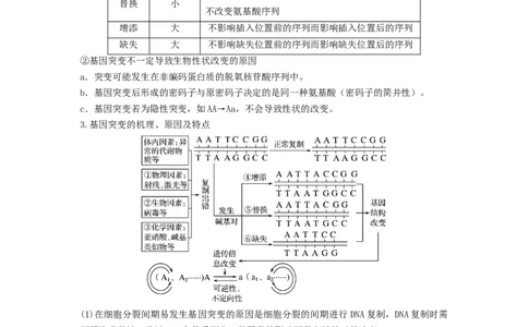 专题20基因突变和基因重组（串讲）（解析版）_2024年新高考资料_1.2024一轮复习_备战2024年高考生物一轮复习串讲精练（新高考专用）