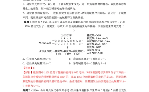 专题20基因突变和基因重组（串讲）（解析版）_2024年新高考资料_1.2024一轮复习_备战2024年高考生物一轮复习串讲精练（新高考专用）