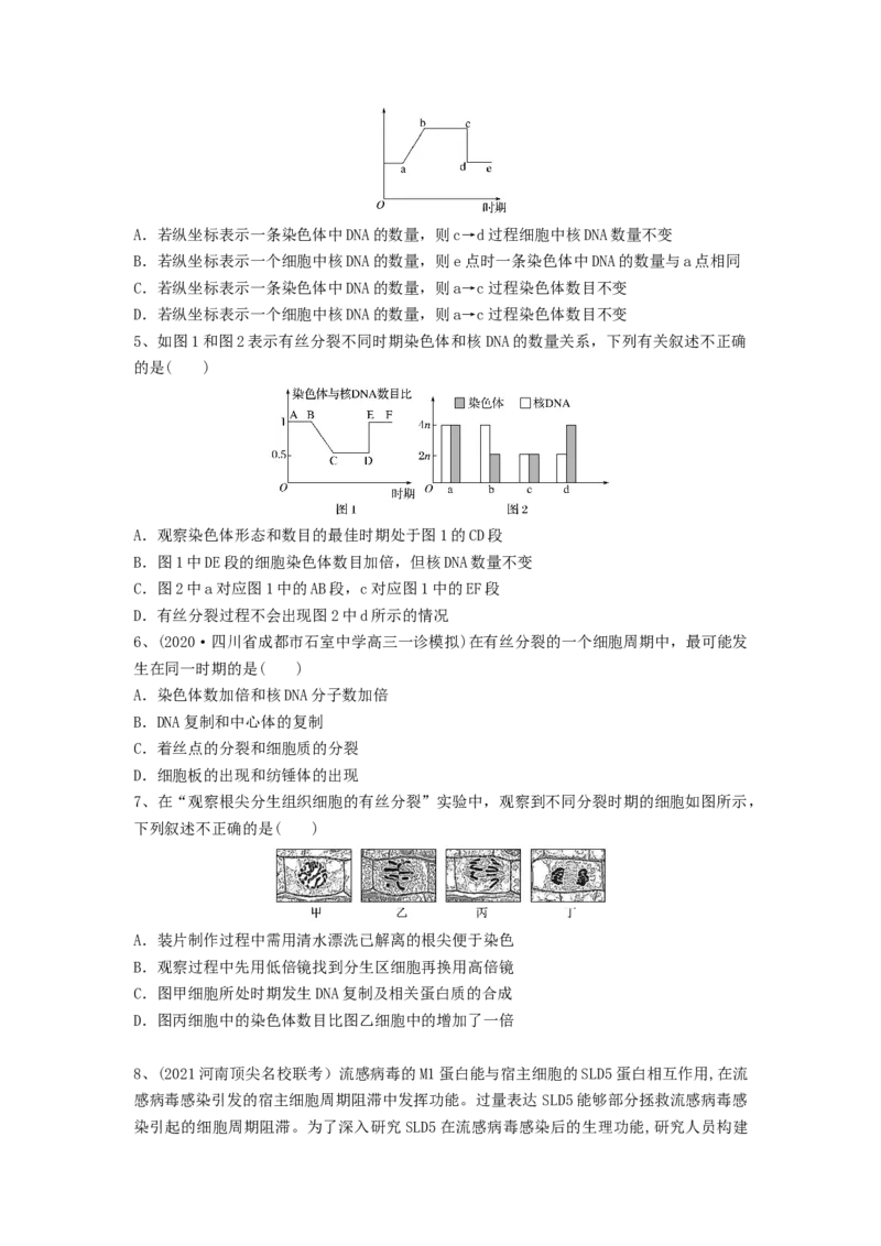 专题11细胞的增殖（精练）（原卷版）_2024年新高考资料_1.2024一轮复习_备战2024年高考生物一轮复习串讲精练（新高考专用）