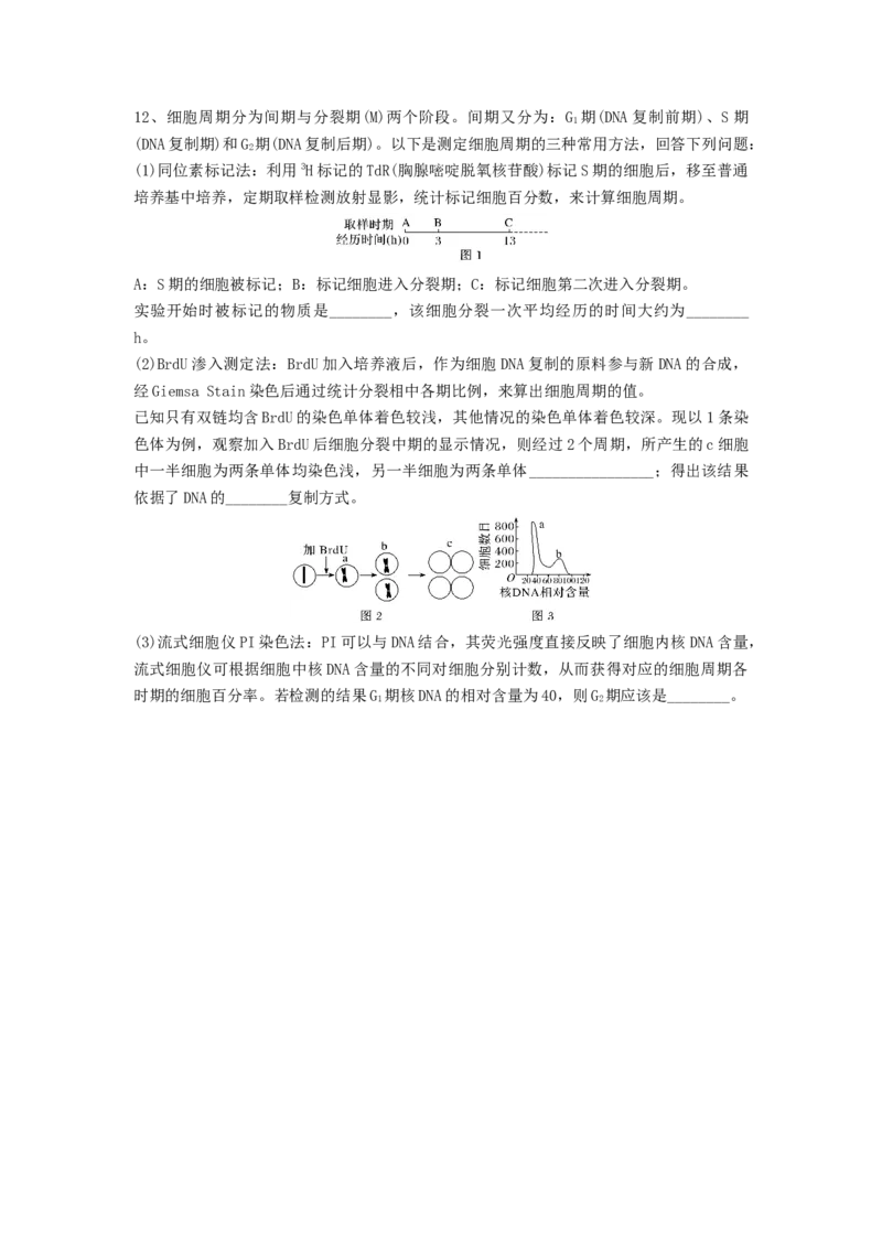 专题11细胞的增殖（精练）（原卷版）_2024年新高考资料_1.2024一轮复习_备战2024年高考生物一轮复习串讲精练（新高考专用）