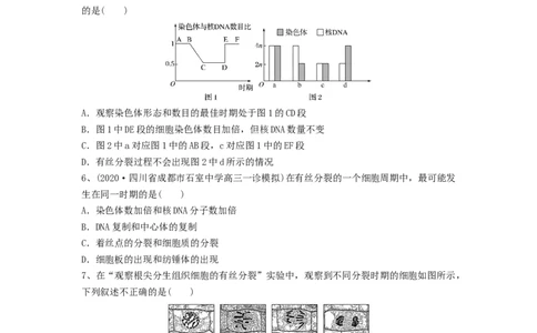专题11细胞的增殖（精练）（原卷版）_2024年新高考资料_1.2024一轮复习_备战2024年高考生物一轮复习串讲精练（新高考专用）
