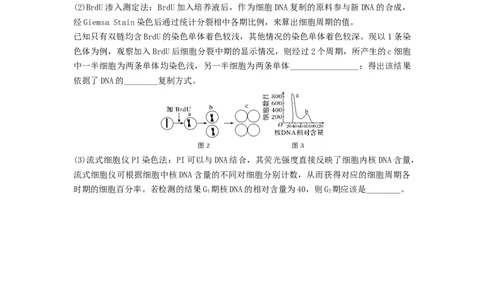 专题11细胞的增殖（精练）（原卷版）_2024年新高考资料_1.2024一轮复习_备战2024年高考生物一轮复习串讲精练（新高考专用）