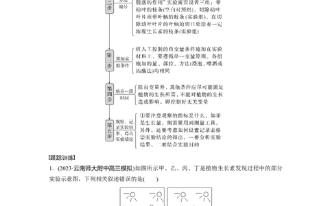 2024年高考生物一轮复习（新人教版）第8单元　微专题七　植物激素调节的相关实验探究_2024年新高考资料_1.2024一轮复习_2024年高考生物一轮复习讲义（新人教版）