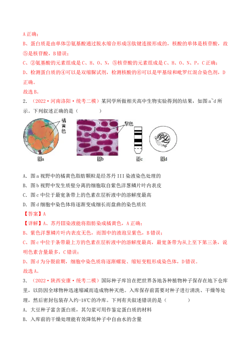 专题01细胞的分子组成（解析版）_2024年新高考资料_3.2024专项复习_备战2024年高考生物一轮复习重难点突破讲解与训练（新教材）