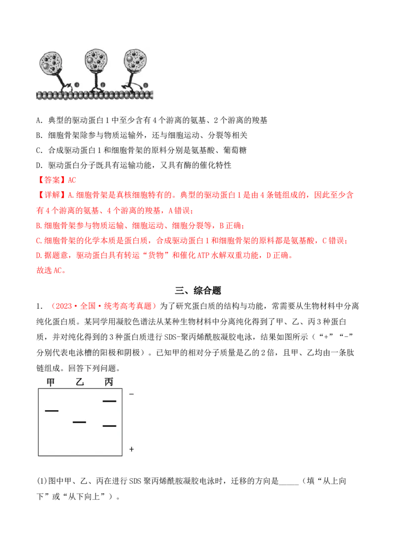 专题01细胞的分子组成（解析版）_2024年新高考资料_3.2024专项复习_备战2024年高考生物一轮复习重难点突破讲解与训练（新教材）