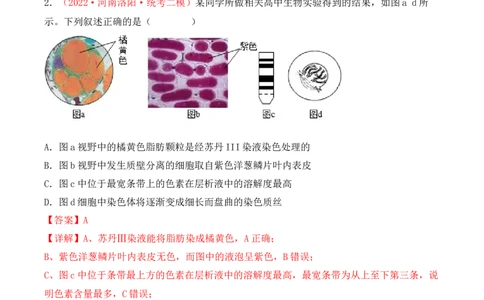 专题01细胞的分子组成（解析版）_2024年新高考资料_3.2024专项复习_备战2024年高考生物一轮复习重难点突破讲解与训练（新教材）
