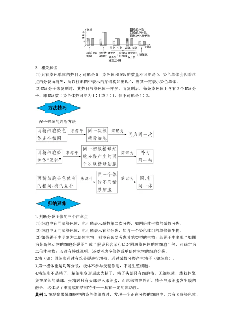专题12减数分裂和受精作用（串讲）（原卷版）_2024年新高考资料_1.2024一轮复习_备战2024年高考生物一轮复习串讲精练（新高考专用）