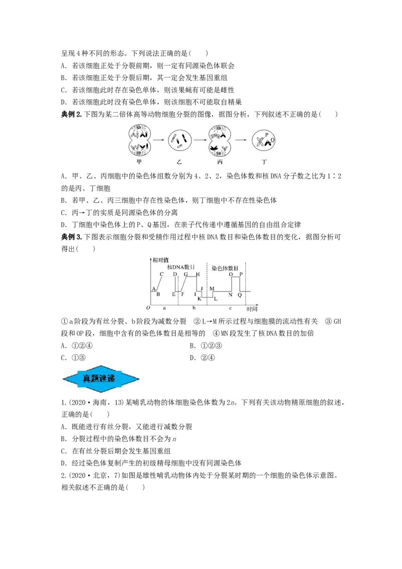 专题12减数分裂和受精作用（串讲）（原卷版）_2024年新高考资料_1.2024一轮复习_备战2024年高考生物一轮复习串讲精练（新高考专用）
