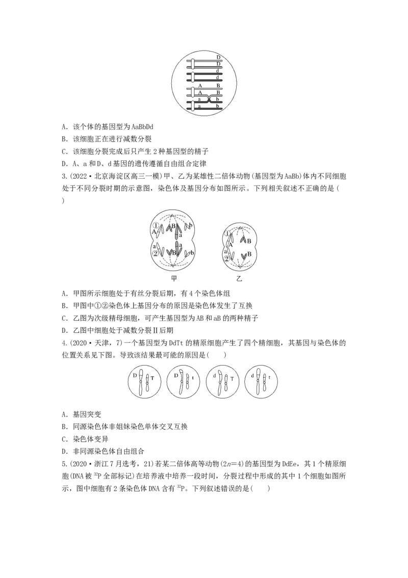 专题12减数分裂和受精作用（串讲）（原卷版）_2024年新高考资料_1.2024一轮复习_备战2024年高考生物一轮复习串讲精练（新高考专用）