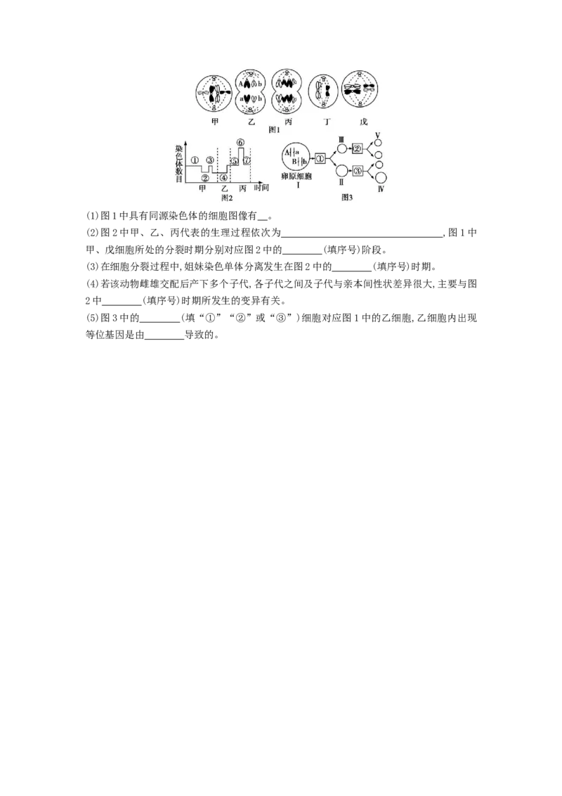 专题12减数分裂和受精作用（串讲）（原卷版）_2024年新高考资料_1.2024一轮复习_备战2024年高考生物一轮复习串讲精练（新高考专用）