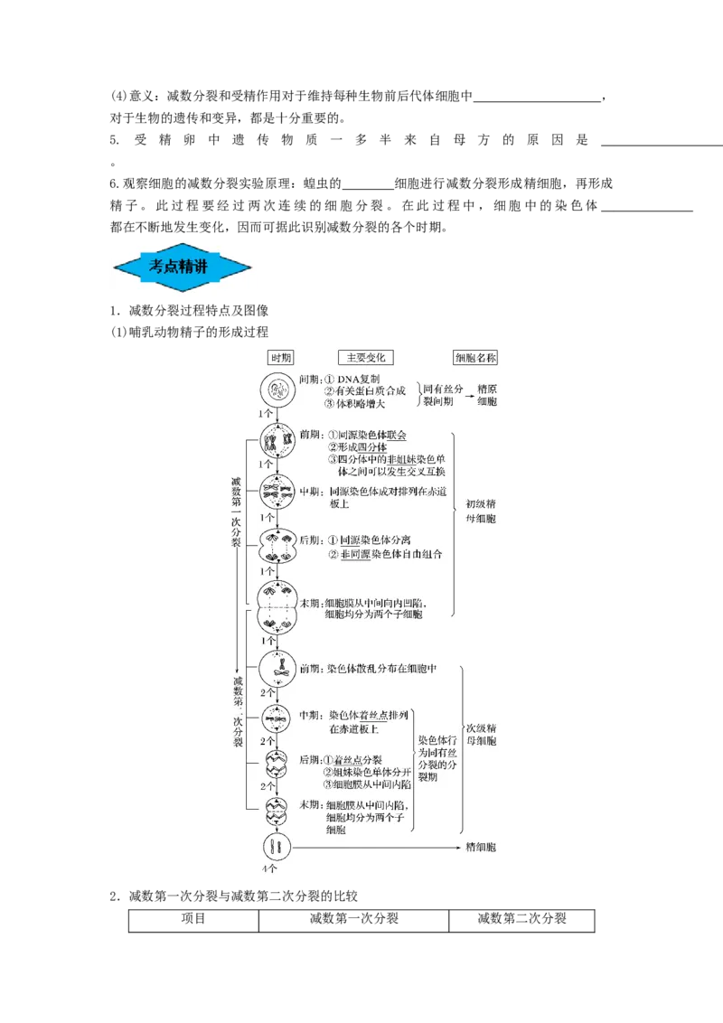 专题12减数分裂和受精作用（串讲）（原卷版）_2024年新高考资料_1.2024一轮复习_备战2024年高考生物一轮复习串讲精练（新高考专用）