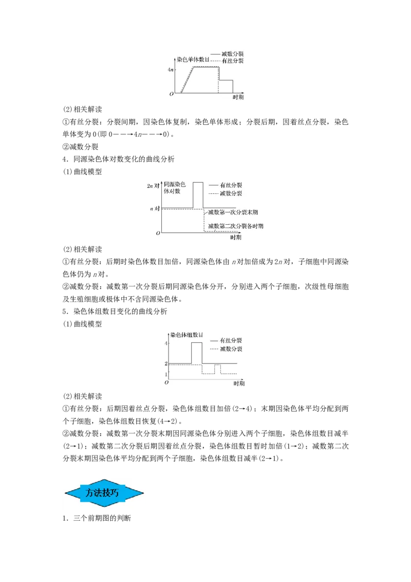 专题12减数分裂和受精作用（串讲）（原卷版）_2024年新高考资料_1.2024一轮复习_备战2024年高考生物一轮复习串讲精练（新高考专用）