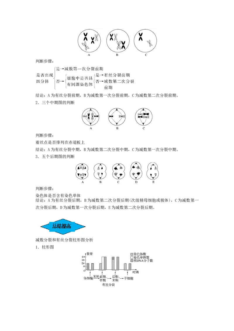 专题12减数分裂和受精作用（串讲）（原卷版）_2024年新高考资料_1.2024一轮复习_备战2024年高考生物一轮复习串讲精练（新高考专用）