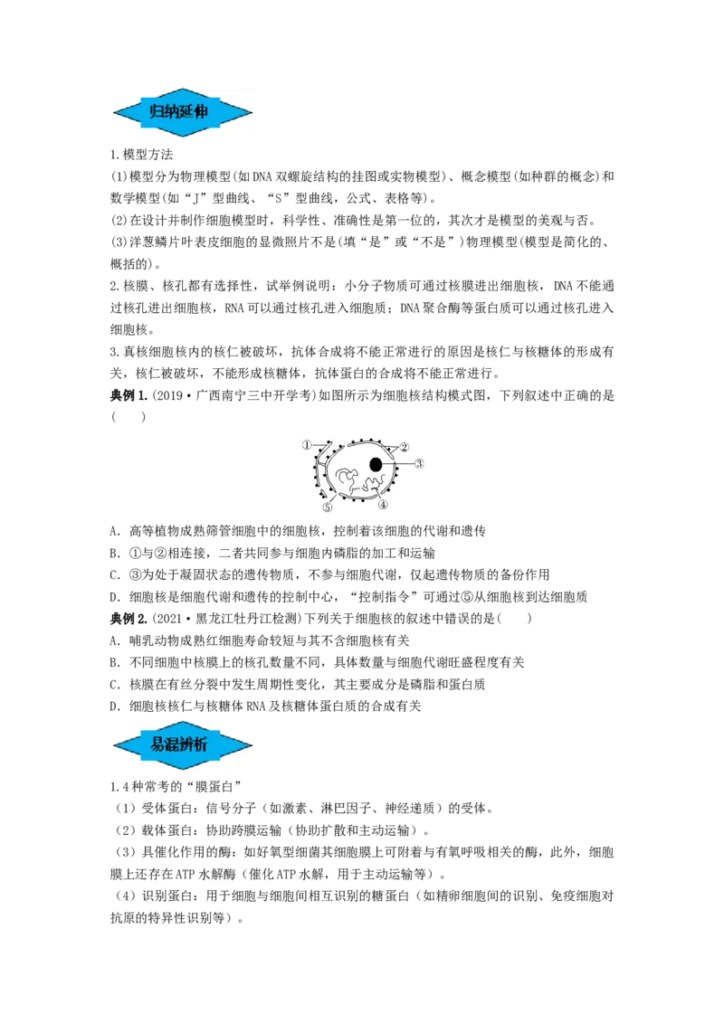 专题04细胞膜和细胞核（串讲）（原卷版）_2024年新高考资料_1.2024一轮复习_备战2024年高考生物一轮复习串讲精练（新高考专用）