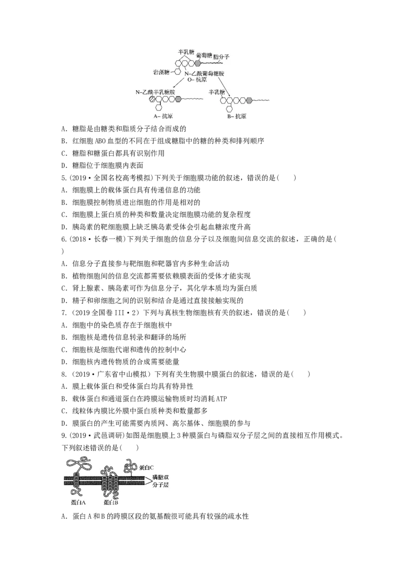 专题04细胞膜和细胞核（串讲）（原卷版）_2024年新高考资料_1.2024一轮复习_备战2024年高考生物一轮复习串讲精练（新高考专用）