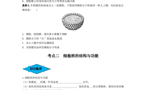专题04细胞膜和细胞核（串讲）（原卷版）_2024年新高考资料_1.2024一轮复习_备战2024年高考生物一轮复习串讲精练（新高考专用）