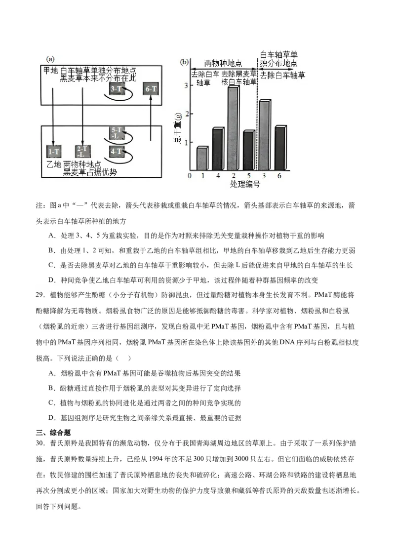 专题24生物的进化（原卷版)_2024年新高考资料_3.2024专项复习_备战2024年高考生物一轮复习重难点专项突破_专题24生物的进化-备战2024年高考生物一轮复习重难点专项突破