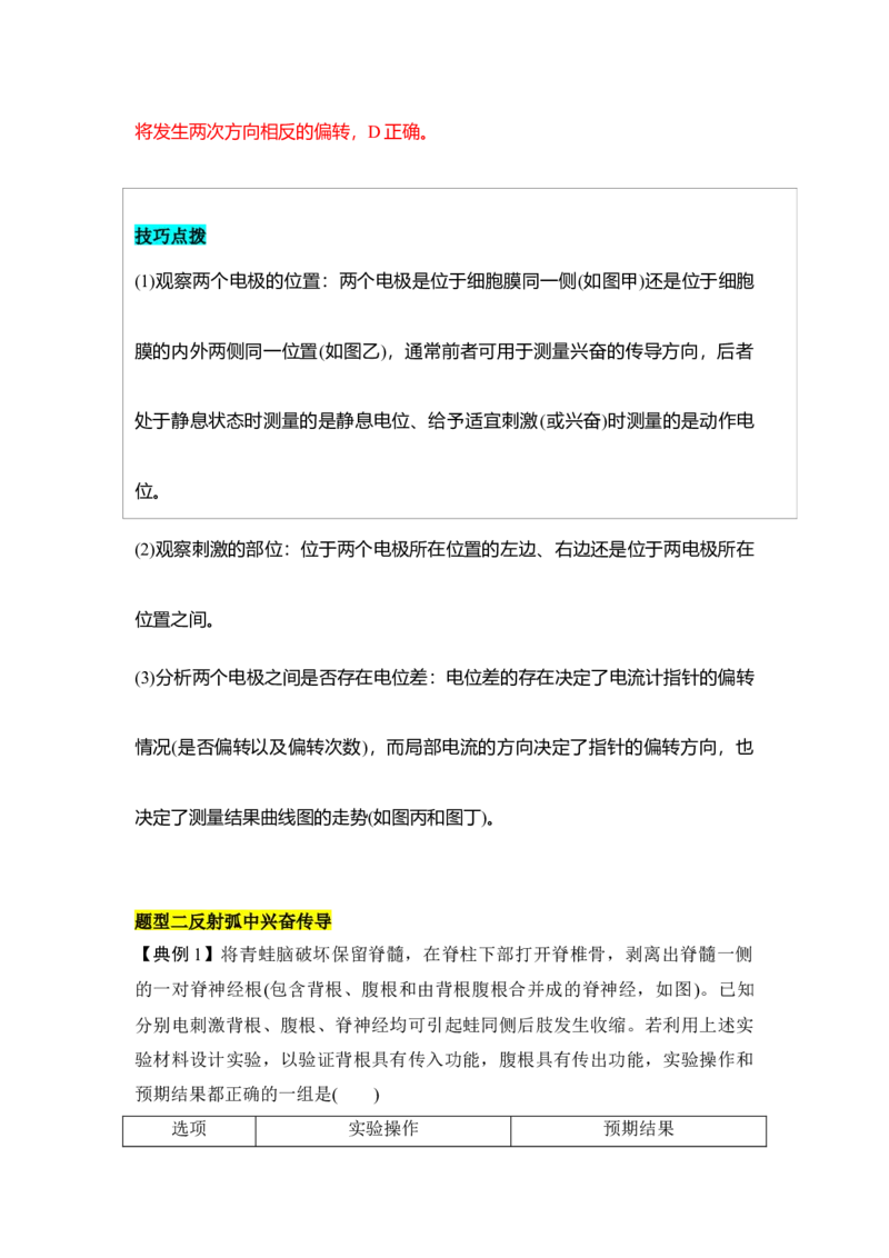 专题七神经调节重难集训（解析版）_2024年新高考资料_5.2024三轮冲刺_2024年高考生物考前最后冲刺