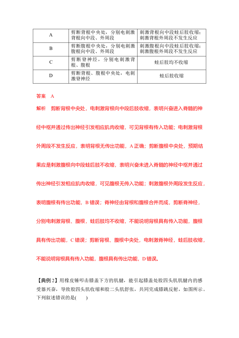 专题七神经调节重难集训（解析版）_2024年新高考资料_5.2024三轮冲刺_2024年高考生物考前最后冲刺