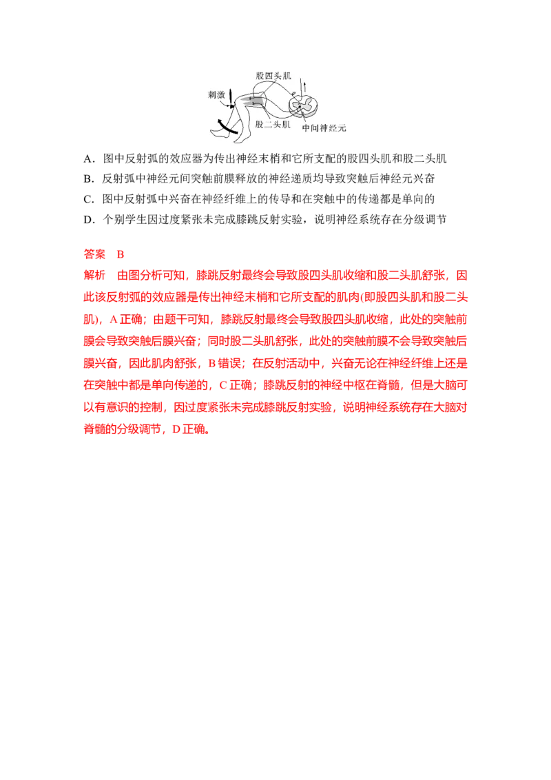 专题七神经调节重难集训（解析版）_2024年新高考资料_5.2024三轮冲刺_2024年高考生物考前最后冲刺