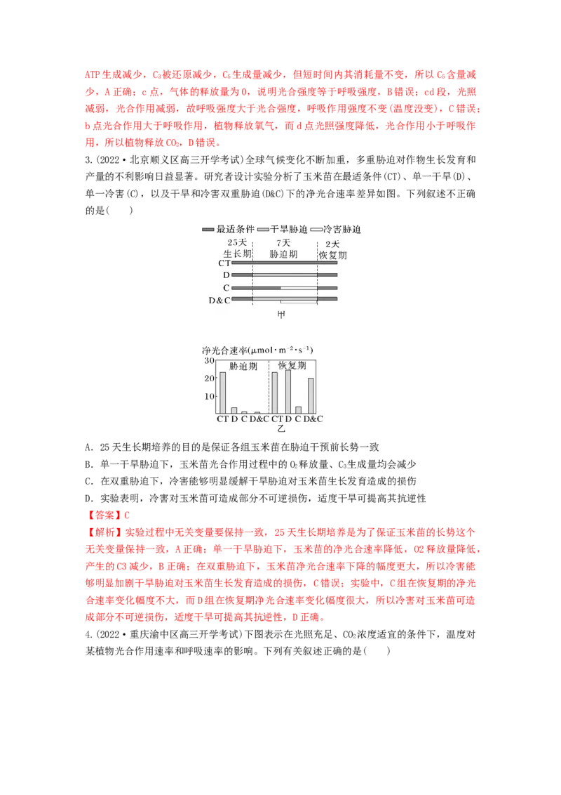 专题10光合作用与细胞呼吸的综合应用（串讲）（解析版）_2024年新高考资料_1.2024一轮复习_备战2024年高考生物一轮复习串讲精练（新高考专用）