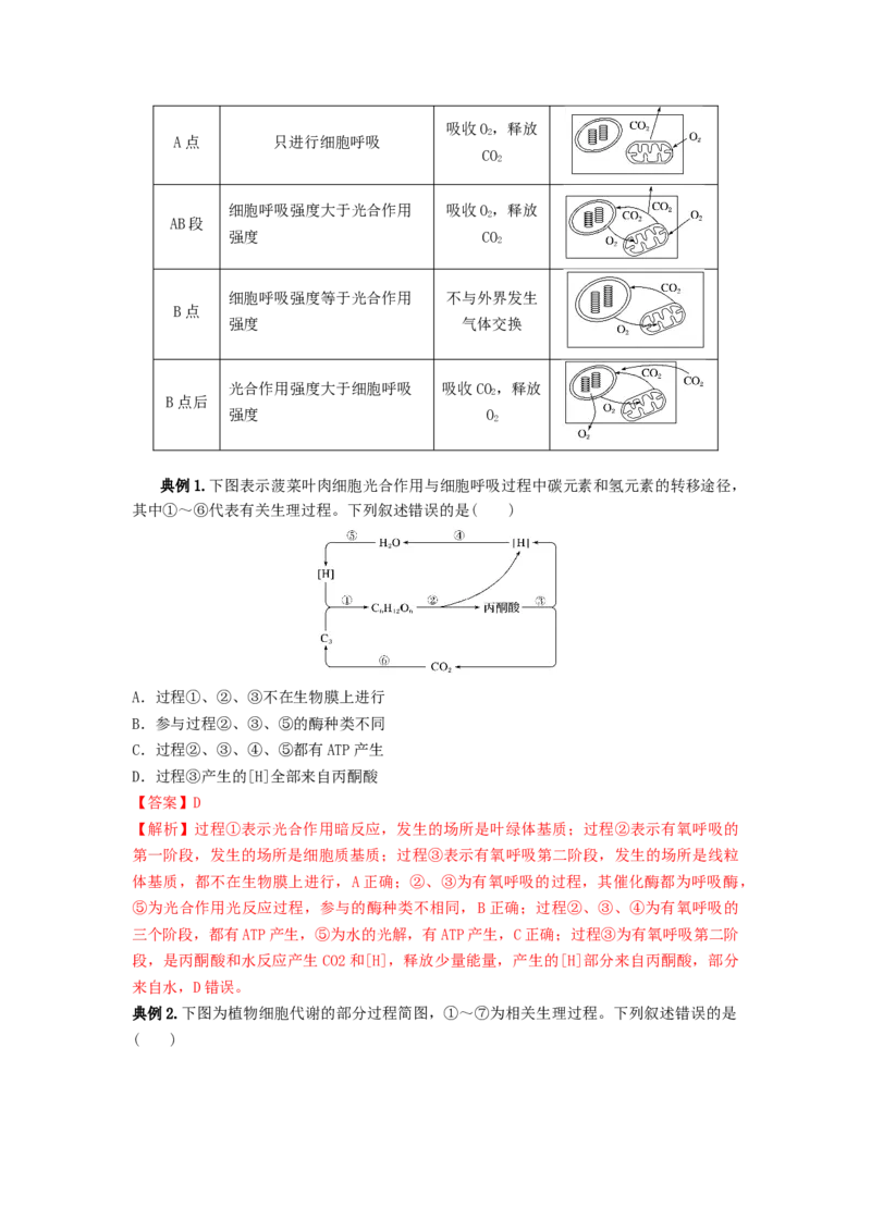 专题10光合作用与细胞呼吸的综合应用（串讲）（解析版）_2024年新高考资料_1.2024一轮复习_备战2024年高考生物一轮复习串讲精练（新高考专用）