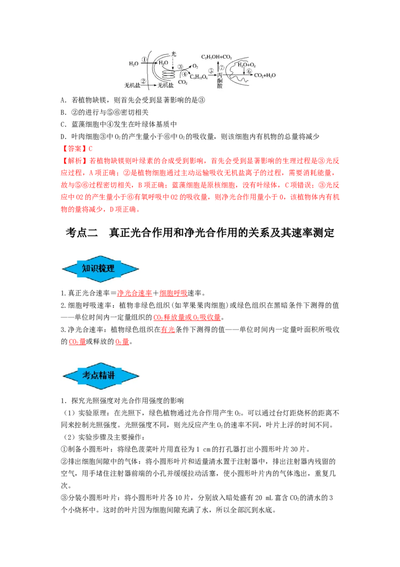 专题10光合作用与细胞呼吸的综合应用（串讲）（解析版）_2024年新高考资料_1.2024一轮复习_备战2024年高考生物一轮复习串讲精练（新高考专用）
