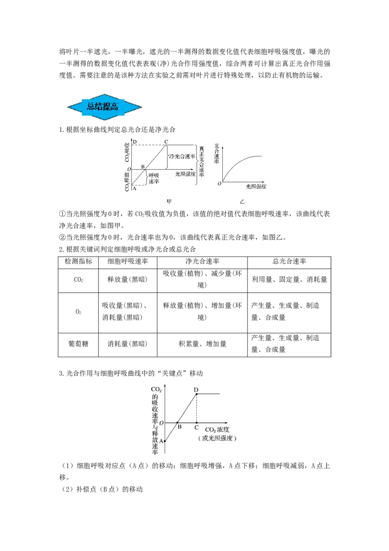 专题10光合作用与细胞呼吸的综合应用（串讲）（解析版）_2024年新高考资料_1.2024一轮复习_备战2024年高考生物一轮复习串讲精练（新高考专用）