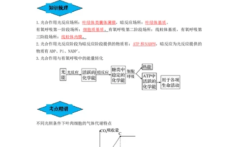 专题10光合作用与细胞呼吸的综合应用（串讲）（解析版）_2024年新高考资料_1.2024一轮复习_备战2024年高考生物一轮复习串讲精练（新高考专用）
