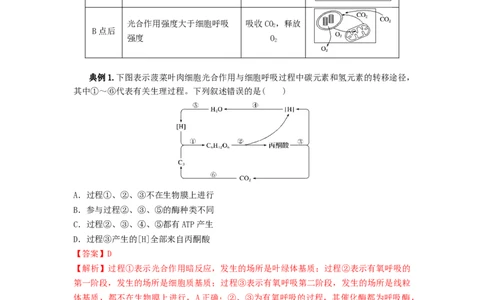 专题10光合作用与细胞呼吸的综合应用（串讲）（解析版）_2024年新高考资料_1.2024一轮复习_备战2024年高考生物一轮复习串讲精练（新高考专用）