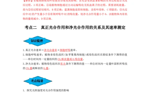 专题10光合作用与细胞呼吸的综合应用（串讲）（解析版）_2024年新高考资料_1.2024一轮复习_备战2024年高考生物一轮复习串讲精练（新高考专用）