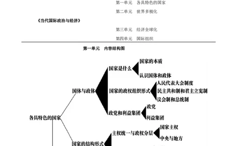 选择性必修1《当代国际政治与经济》-知识汇总2024年高考政治高效复习必备提纲（统编版）_新高考复习资料_2024年新高考资料_专项复习资料