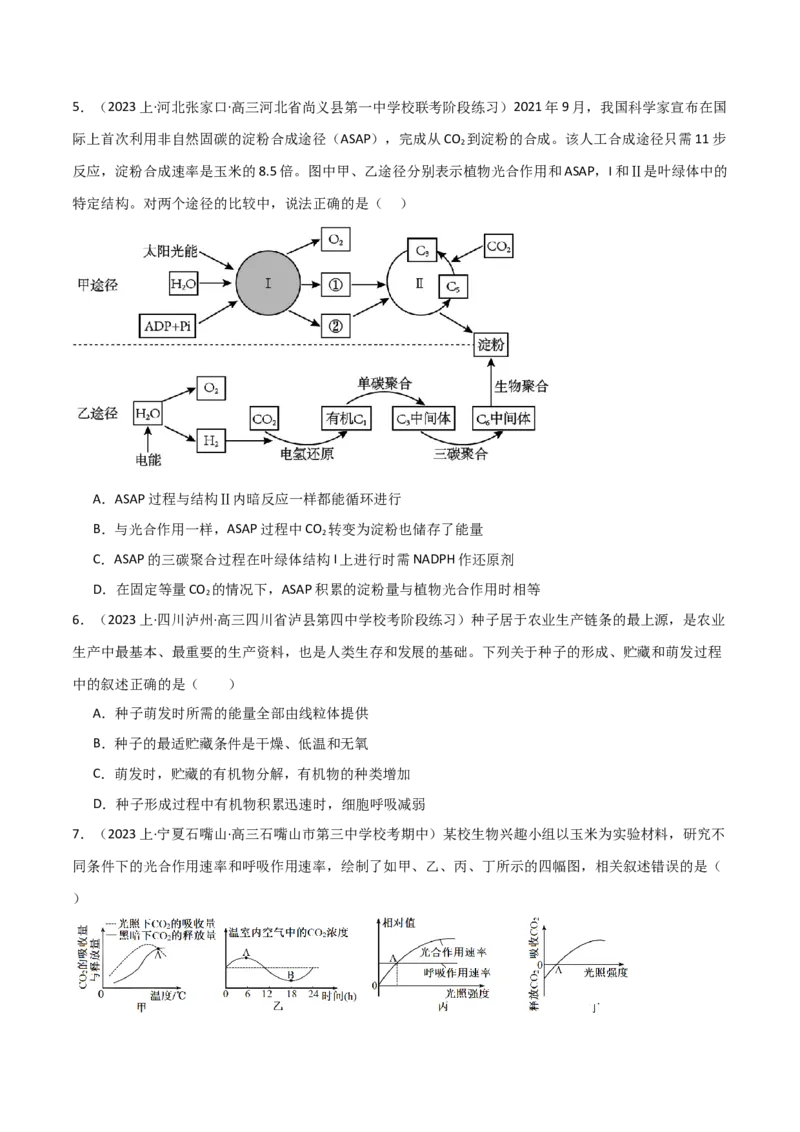 专题03细胞的能量供应和利用（限时检测卷）_2024年新高考资料_3.2024专项复习_2024年高考生物热点&middot;重点&middot;难点专练（新高考专用）