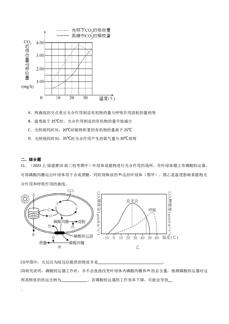 专题03细胞的能量供应和利用（限时检测卷）_2024年新高考资料_3.2024专项复习_2024年高考生物热点&middot;重点&middot;难点专练（新高考专用）