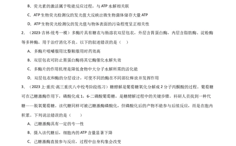 专题03细胞的能量供应和利用（限时检测卷）_2024年新高考资料_3.2024专项复习_2024年高考生物热点&middot;重点&middot;难点专练（新高考专用）